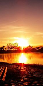 Sunset,City,Shine,Light,Park,Landscape,Cities,Bench