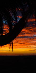 Sunset,Clouds,Palm,Hammock,Dark