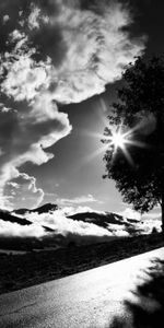 Puesta Del Sol,Nubes,Madera,Árbol,Bw,Oscuro,Camino,Chb