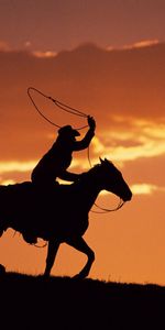 Sunset,Dark,Silhouette,Evening,Horseman,Rider,Horse