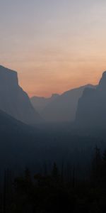 Sunset,Forest,Fog,Hills,Tops,Nature,Vertex