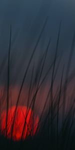 Sunset,Grass,Blur,Smooth,Dusk,Twilight,Sun,Dark