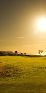 Bois,Nature,Herbe,Arbre,Domaine,Sky,Champ,Coucher De Soleil