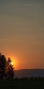 Colline,Nature,Herbe,Sun,Forêt,Coucher De Soleil