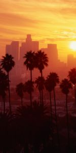 Villes,Paysage,Coucher De Soleil,Palms