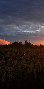 Закат,Пейзаж,Поля