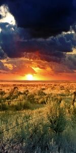 Sunset,Landscape,Fields