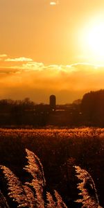 Coucher De Soleil,Les Champs,Paysage