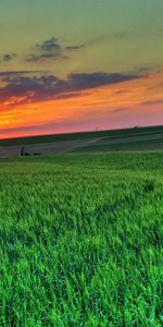 Sunset,Landscape,Fields