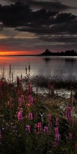 Naturaleza,Paisaje,Puesta Del Sol