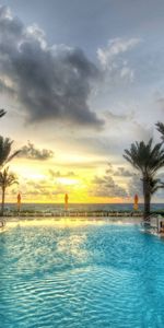 Sunset,Landscape,Sea,Palms