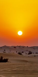 Sunset,Links,Nature,Desert,Dunes,Sand