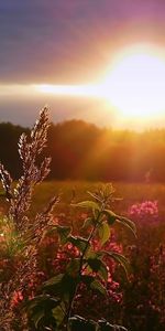 Naturaleza,Paisaje,Puesta Del Sol