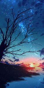 Sunset,Nebula,Stars,Wood,Tree,Branches,Particles,Art