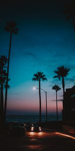 Sunset,Night,Palms,Cars,Tropics,Dark