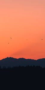 Grandes Lignes,Contours,Coucher De Soleil,Sombre,Oiseaux,Montagnes