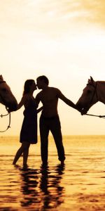 Sunset,Pair,Tenderness,Sea,Couple,Love,Romance,Horses