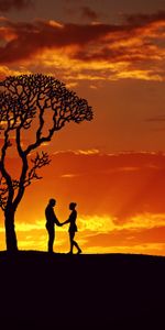 Sunset,Pair,Tree,Wood,Couple,Silhouettes,Love