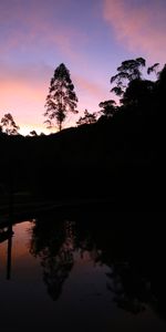 Fêtes,Réflexion,Silhouette,Bois,Arbre,Lac,Coucher De Soleil