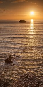 Puesta Del Sol,Gaviotas,Las Rocas,Rocas,Horizonte,Naturaleza