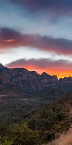 Sunset,Rocks,Road,Landscape,Nature,Trees,Mountains