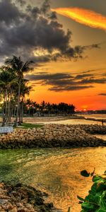 Paisaje,Puesta Del Sol,Nubes,Mar,Palms