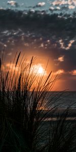 Sunset,Sea,Horizon,Nature,Grass