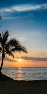 Sunset,Sea,Nature,Palms,Beach