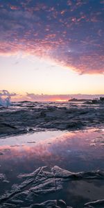 Sunset,Sea,Rocks,Horizon,Coast,Nature