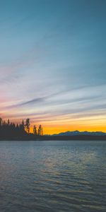 Arbres,Banque,Nature,Coucher De Soleil,Rive,Mer