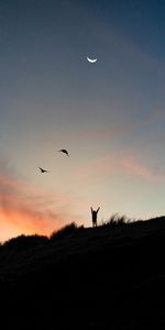 Sunset,Silhouette,Miscellanea,Miscellaneous,Month,Freedom