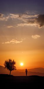 Puesta Del Sol,Madera,Árbol,Luz De Sol,Oscuro,Silueta,Luz Del Sol,Soledad