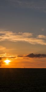 Sunset,Sky,Clouds,Horizon,Wood,Tree,Nature,Lonely,Alone