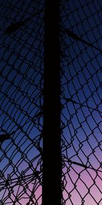 Sunset,Sky,Fence,Lattice,Trellis,Dark,Grid