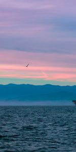 Nature,Horizon,Coucher De Soleil,Sky,Bateau