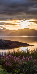 Sunset,Sky,Mountains,Nature,Sea,Flowers