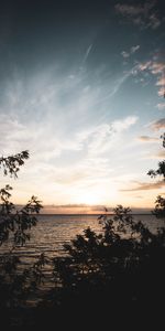 Naturaleza,Cielo,Horizonte,Sucursales,Ramas,Puesta Del Sol,Mar