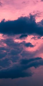 Sunset,Sky,Pink,Clouds,Evening,Nature