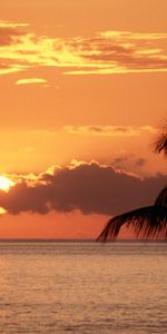 Paisaje,Puesta Del Sol,Sol,Palms,Cielo,Mar