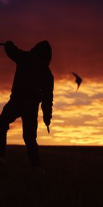 Sunset,Sky,Silhouette,Kite,Dark