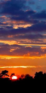 Nuages,Arbres,Horizon,Coucher De Soleil,Sky,Sun,Nature