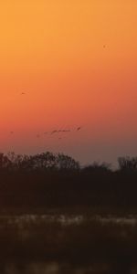 Cielo,Sol,Paisaje,Puesta Del Sol