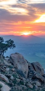 Sunset,Stones,Mountain,Wood,Tree,Fog,Nature