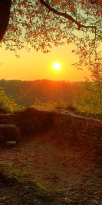 Sunset,Sun,Landscape,Trees