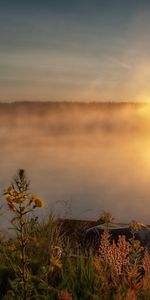 Sunset,Sun,Shore,Bank,Light,Vegetation,Wharf,Disk,Berth,Shine,Nature,Boat