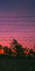 Sunset,Wire,Barbed Wire,Nature,Metal,Metallic