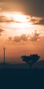 Sunset,Wood,Tree,Pillar,Post,Wire,Nature,Wires