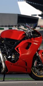 Superbike,Ducati 1098,Motorcycles,Motorcycle