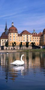 Swans,Landscape,Castles