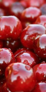 Sweet Cherry,Background,Berries,Fruits